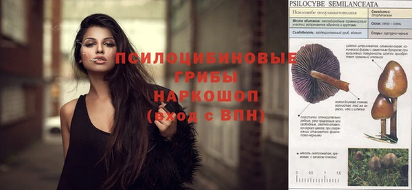 шишки Ладушкин