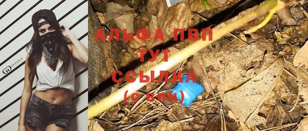 шишки Ладушкин