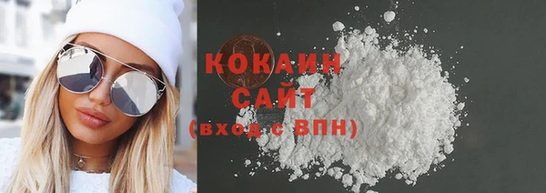 шишки Ладушкин