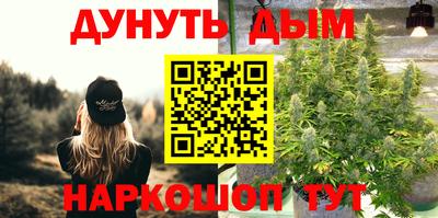 Альфа ПВП Будённовск