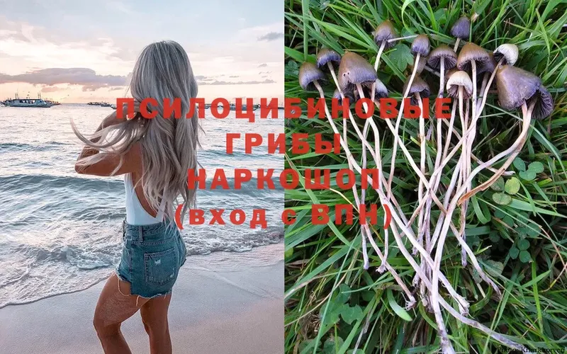 Псилоцибиновые грибы Magic Shrooms  Железноводск 