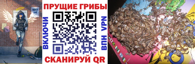 Псилоцибиновые грибы MAGIC MUSHROOMS  Железноводск 